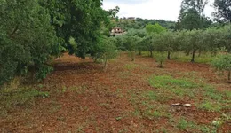 Aste giudiziarie immobiliari online - 8.0