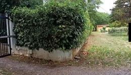 Aste giudiziarie immobiliari online - 7.0
