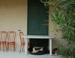 Aste giudiziarie immobiliari online - 11.0