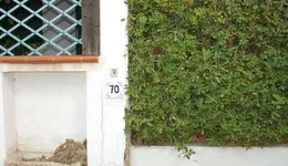 Aste giudiziarie immobiliari online - 9.0