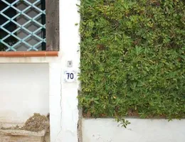 Aste giudiziarie immobiliari online - 9.0