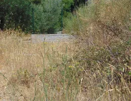 Aste giudiziarie immobiliari online - 5.0