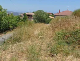 Aste giudiziarie immobiliari online - 9.0