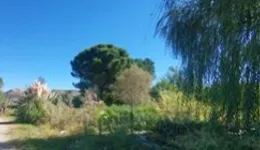 Aste giudiziarie immobiliari online - 8.0