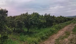 Aste giudiziarie immobiliari online - 11.0