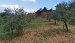 Aste giudiziarie immobiliari online - 3.0