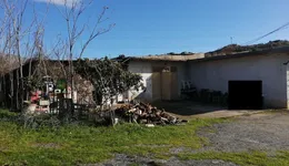 Aste giudiziarie immobiliari online - 11.0