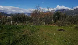 Aste giudiziarie immobiliari online - 3.0