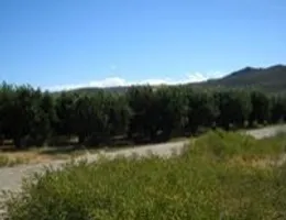 Aste giudiziarie immobiliari online - 2.0