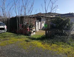 Aste giudiziarie immobiliari online - 11.0