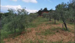 Aste giudiziarie immobiliari online - 10.0