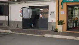 Aste giudiziarie immobiliari online - 11.0