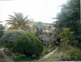 Aste giudiziarie immobiliari online - 11.0