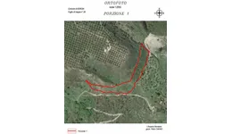 Aste giudiziarie immobiliari online - 10.0