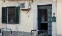 Aste giudiziarie immobiliari online - 11.0