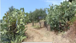 Aste giudiziarie immobiliari online - 2.0