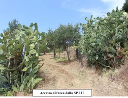 Aste giudiziarie immobiliari online - 9.0