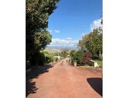 Aste giudiziarie immobiliari online - 4.0