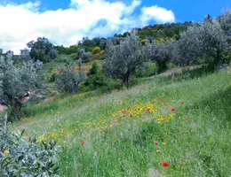 Aste giudiziarie immobiliari online - 5.0