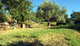 Aste giudiziarie immobiliari online - 4.0