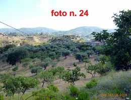 Aste giudiziarie immobiliari online - 12.0