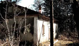 Aste giudiziarie immobiliari online - 7.0