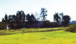 Aste giudiziarie immobiliari online - 11.0