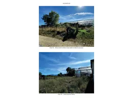 Aste giudiziarie immobiliari online - 6.0