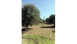 Aste giudiziarie immobiliari online - 2.0