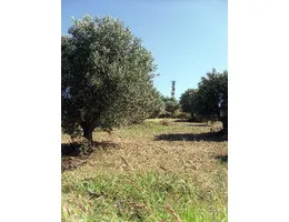 Aste giudiziarie immobiliari online - 2.0