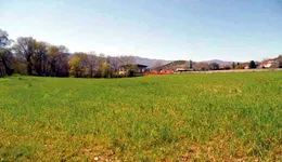 Aste giudiziarie immobiliari online - 5.0