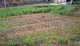 Aste giudiziarie immobiliari online - 5.0