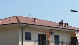 Aste giudiziarie immobiliari online - 1.0