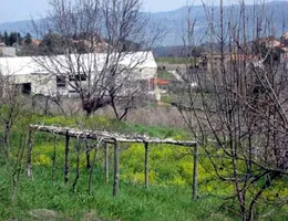 Aste giudiziarie immobiliari online - 6.0