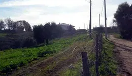 Aste giudiziarie immobiliari online - 4.0