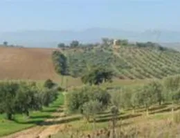 Aste giudiziarie immobiliari online - 12.0