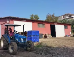 Aste giudiziarie immobiliari online - 7.0