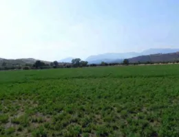 Aste giudiziarie immobiliari online - 2.0