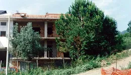 Aste giudiziarie immobiliari online - 8.0