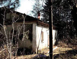Aste giudiziarie immobiliari online - 9.0