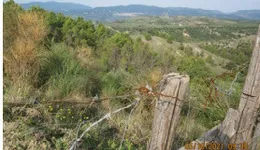Aste giudiziarie immobiliari online - 3.0