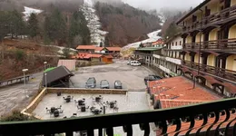 Aste giudiziarie immobiliari online - 3.0