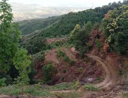 Aste giudiziarie immobiliari online - 4.0