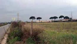 Aste giudiziarie immobiliari online - 5.0