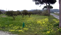 Aste giudiziarie immobiliari online - 6.0