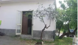 Aste giudiziarie immobiliari online - 5.0