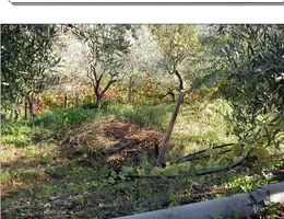 Aste giudiziarie immobiliari online - 12.0