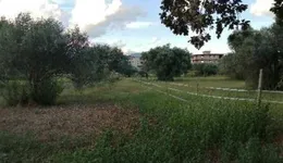 Aste giudiziarie immobiliari online - 9.0