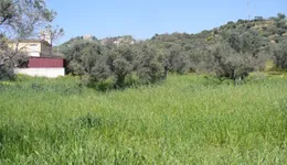 Aste giudiziarie immobiliari online - 7.0