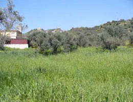 Aste giudiziarie immobiliari online - 7.0